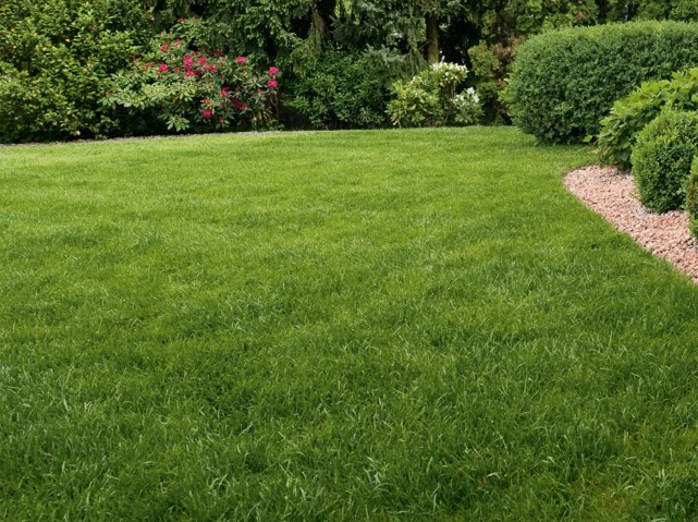 שיפור מראה המדשאה ואיכות הדשא.